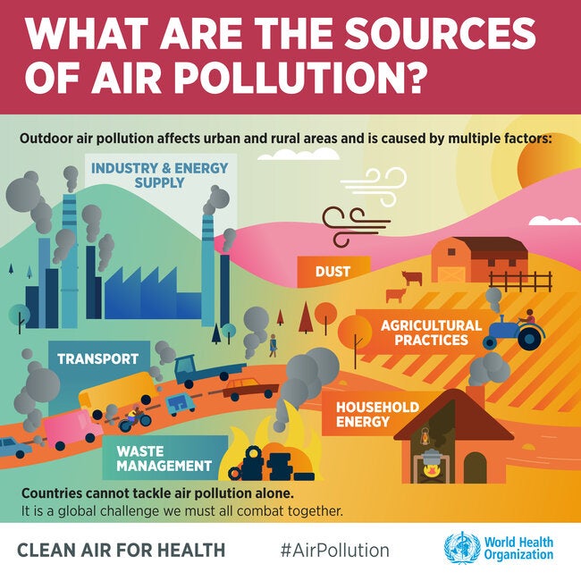 thesis statement air pollution is caused by many factors